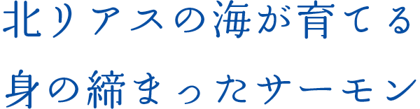 北リアスの海が育てる身の締まったサーモン