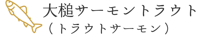 トラウトサーモン