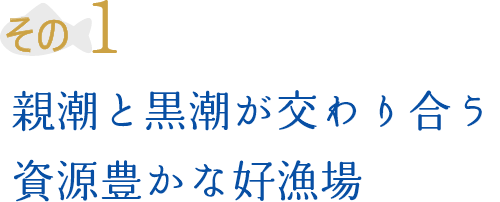 その1 親潮と黒潮が交わり合う資源豊かな好漁場