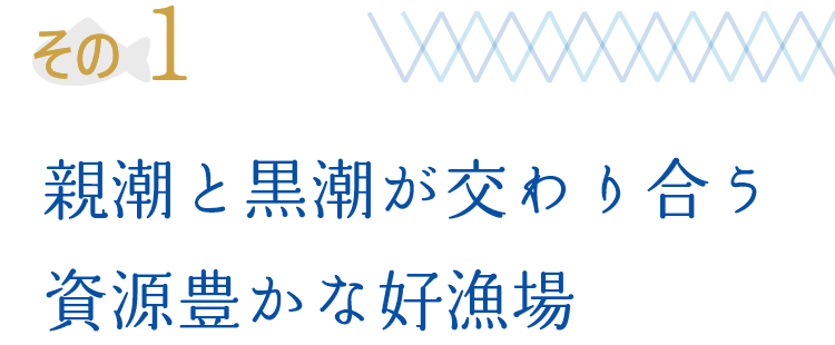 その1 親潮と黒潮が交わり合う資源豊かな好漁場