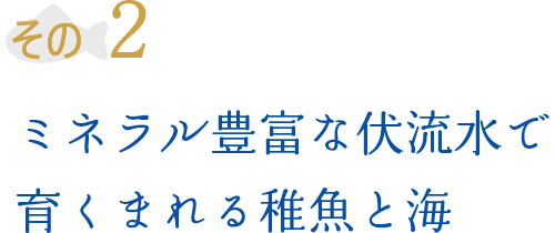 その2 ミネラル豊富な伏流水で育くまれる稚魚と海