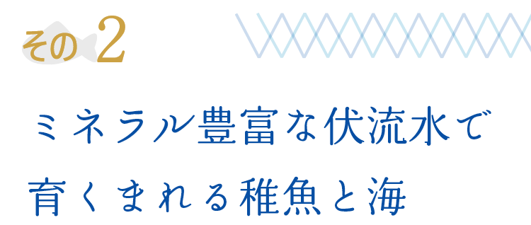 その2 ミネラル豊富な伏流水で育くまれる稚魚と海