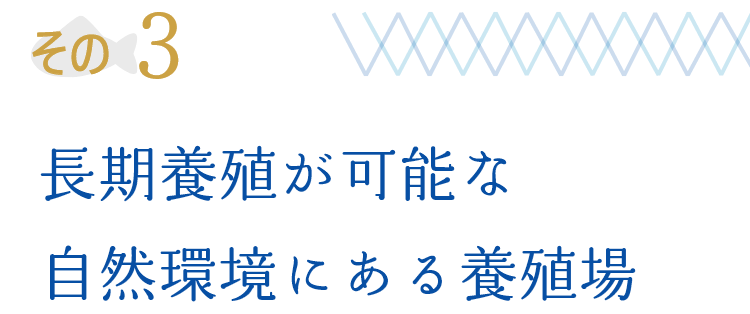 その3 長期養殖が可能な自然環境にある養殖場