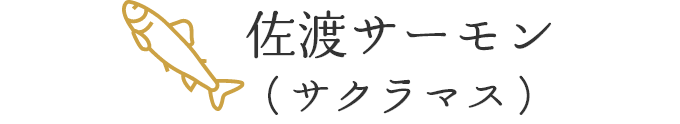 トラウトサーモン