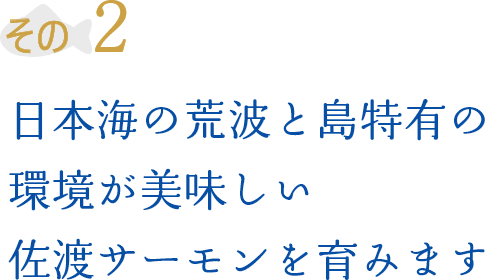 その2 日本海の荒波と島特有の環境が美味しい佐渡サーモンを育みます