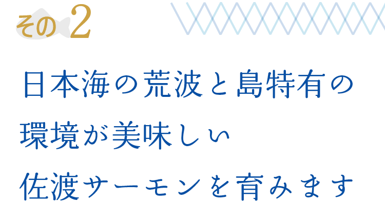 その2 日本海の荒波と島特有の環境が美味しい佐渡サーモンを育みます