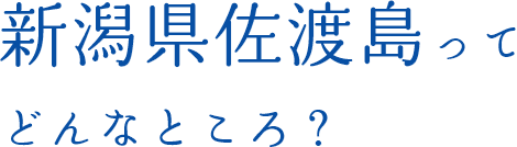 新潟県佐渡島ってどんなところ？