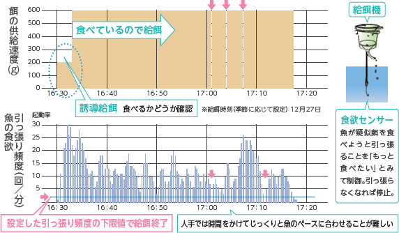 図2 ニッスイAqualingual®の給餌例