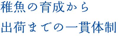 稚魚の育成から出荷までの一貫体制